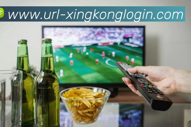 星空体育平台生态图