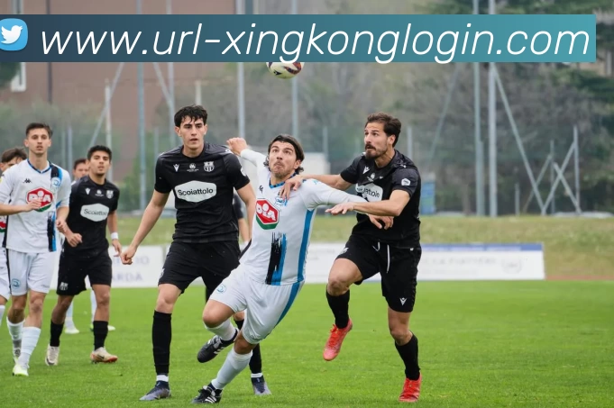 星空体育全站App